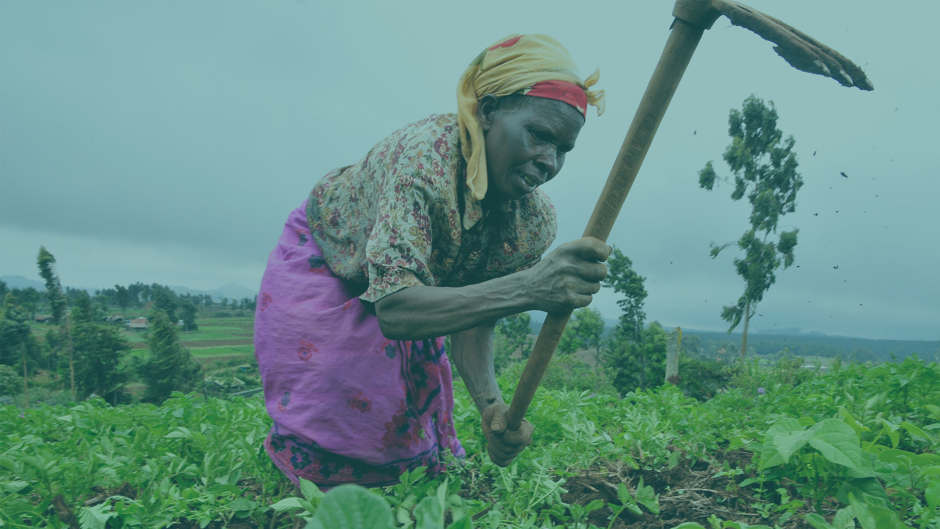 visit-our-farms-banner