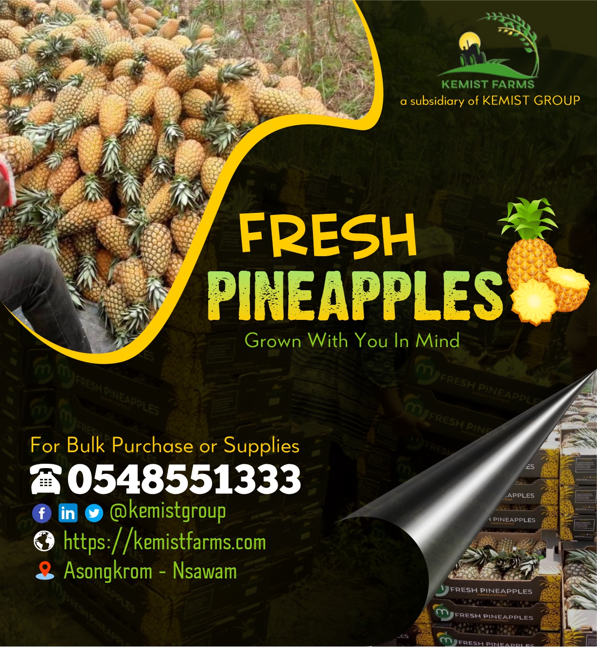 Fresh Pineapples - kemistgroup